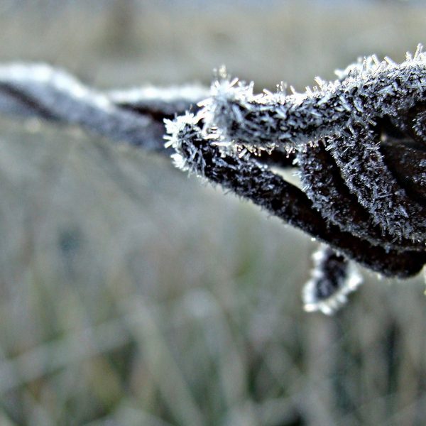 Ice_nature_fences_frost_macro_depth_of_field_barbed_wire_wire_1920x1200